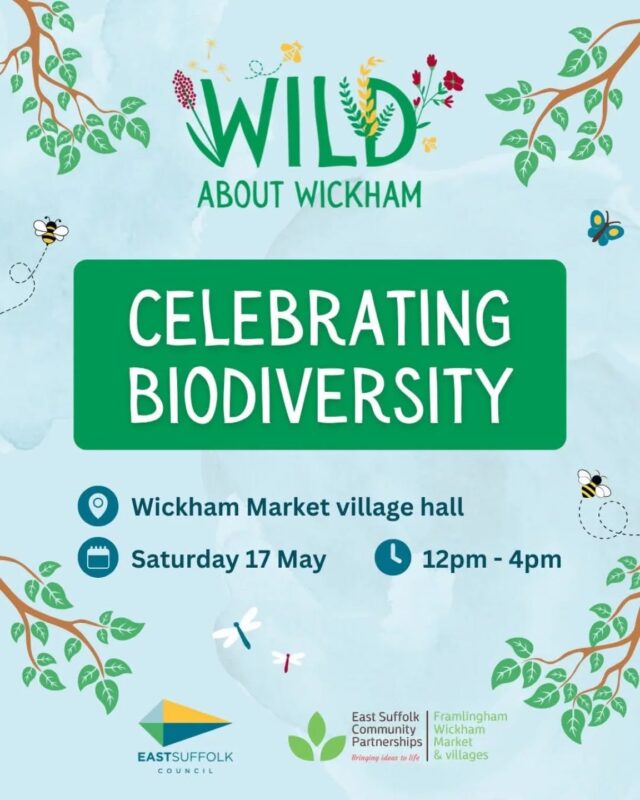 This Saturday we'll be in Wickham Market talking all things biodiversity.  Come and have a chat about what you can do 
#transitionwoodbridge #transitiontogether 
#biodiversity #wildlifecorridors #wildlife #wickhammarket #ufford #meltonsuffolk
