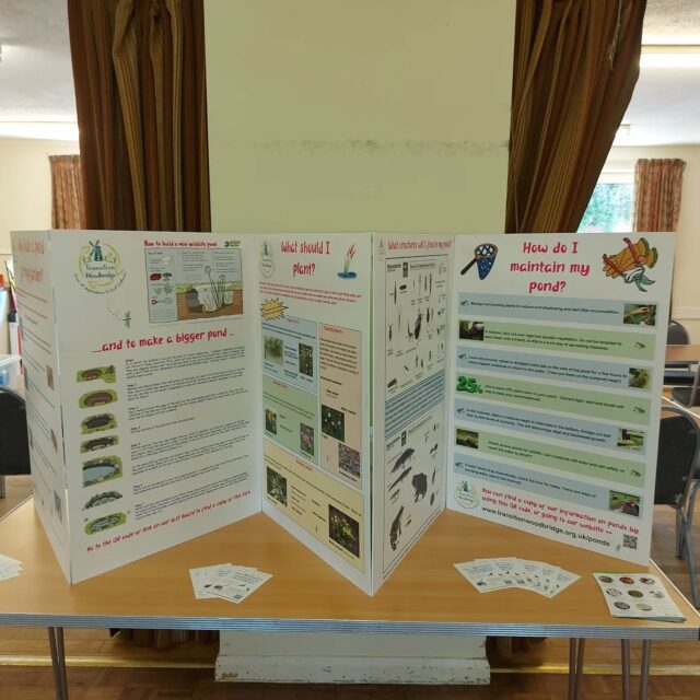Info boards created to help and encourage everyone to put in ponds or water features in their gardens/patios/amongst pots.  Loved having an opportunity to share and chat about them at 'Wild about Wickham' event yesterday.  Thanks to East Suffolk Council Woodbridge,  Melton and Peninsula Partnership funding.
#transitionwoodbridge #biodiversity #eastsuffolkcouncil #climateresilience #wildlifecorridors #climate #Suffolk